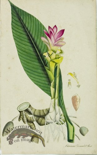 (image for) 1828_Gmp 028