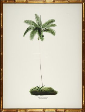 Palm trees in Gold Bamboo 02