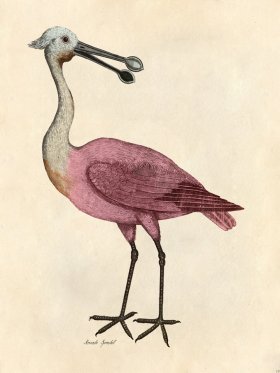 Roseate Spoonbill - Tribute Bd 19