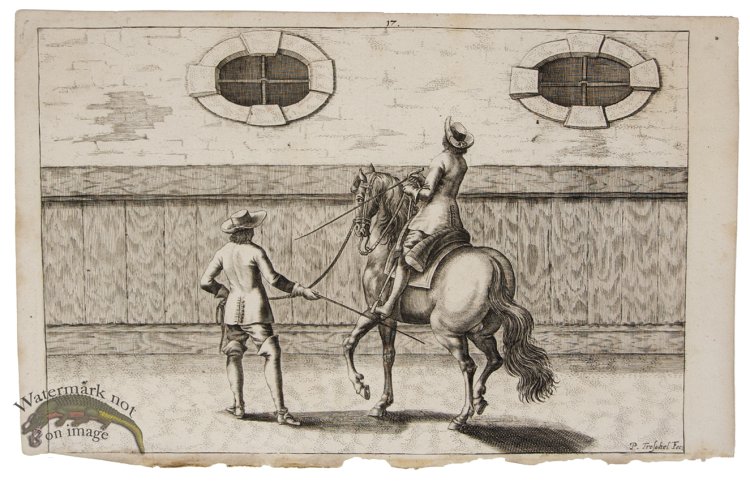 (image for) Winter Horse 12