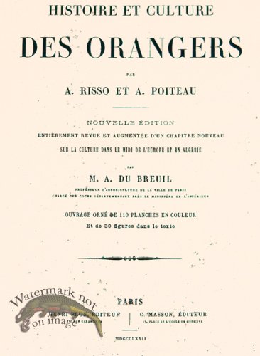 (image for) Poiteau Citrus Title