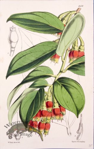 (image for) CBMS_0018