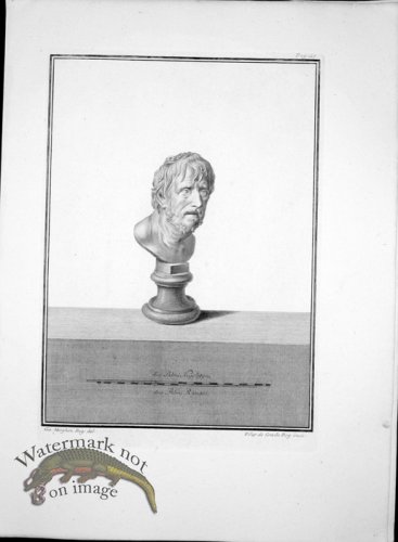 (image for) Ercolano Bust 16