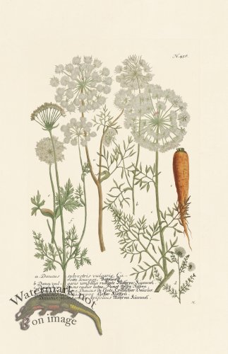 (image for) Weinmann PL 458