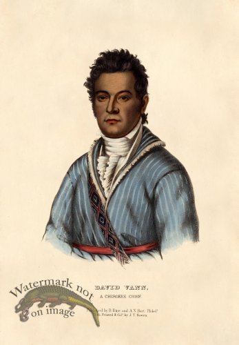 (image for) David Vann