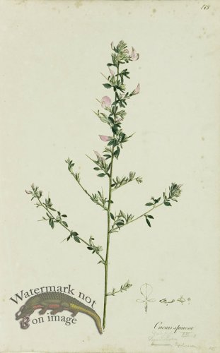 (image for) 1828_Gmp 023