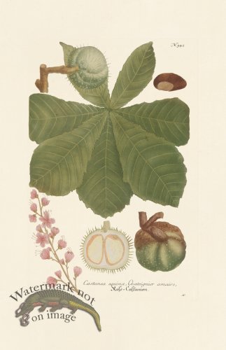 (image for) Weinmann PL 342