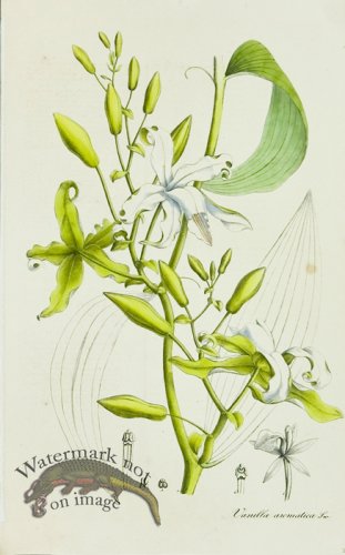 (image for) 1828_Gmp 040