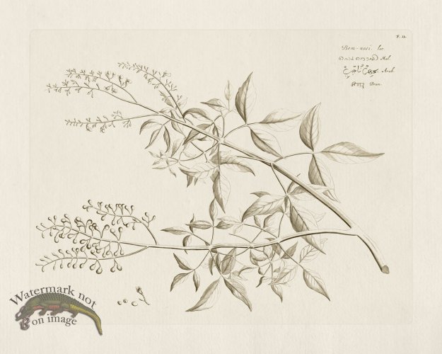 (image for) HORTUS VOL 02 12