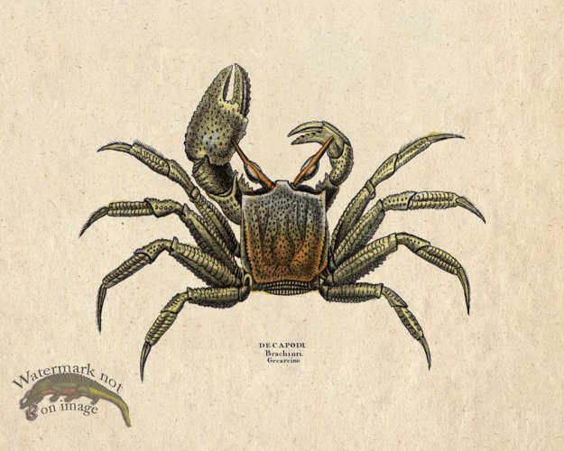 (image for) Sand_Soldier_04