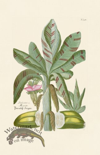 (image for) Weinmann PL 228