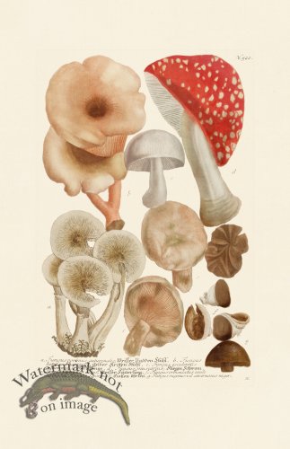 (image for) Weinmann PL 522