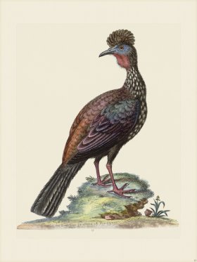 (image for) Edwards 013 Quan