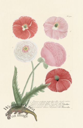 (image for) Weinmann PL 790