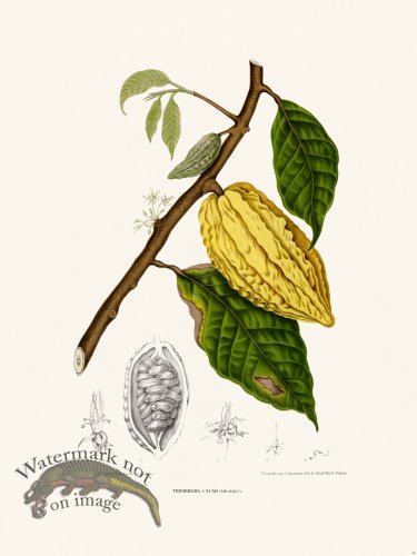 (image for) Horticulture of Java 34