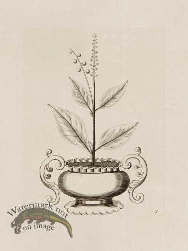 (image for) Potted Plant 05