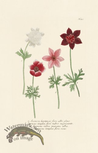 (image for) Weinmann PL 123