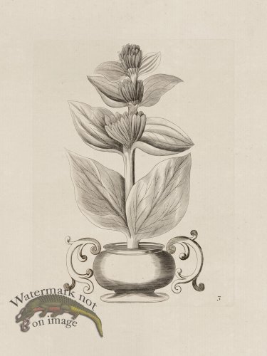 (image for) Potted Plant 03