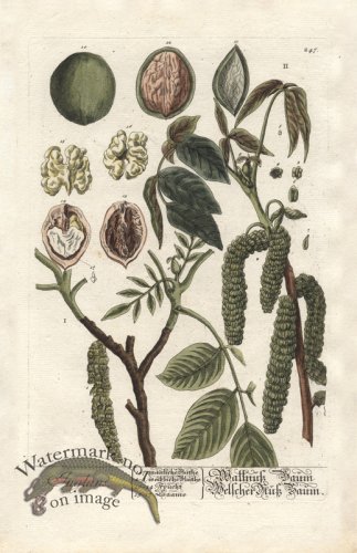 (image for) Blackwell GE 247