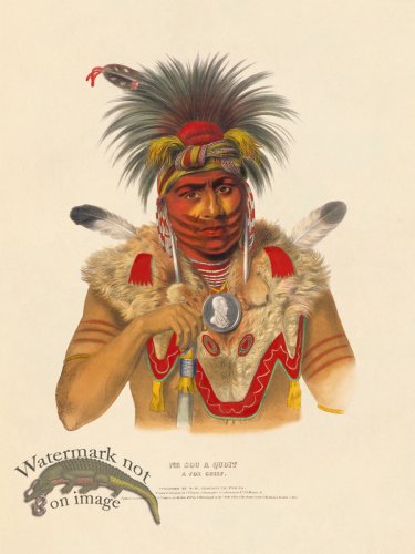 (image for) Ne sou a quoit Fox