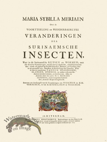 (image for) Merian Metamorphosis 74