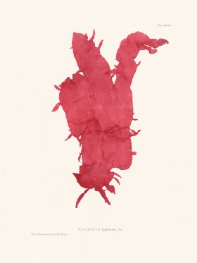 Bradbury Seaweed 092