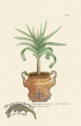 (image for) Weinmann PL 060