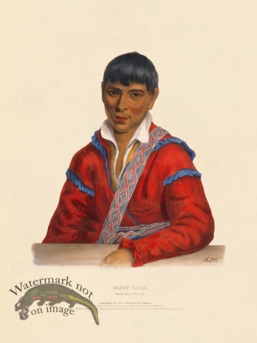 (image for) Paddy Carr Creek