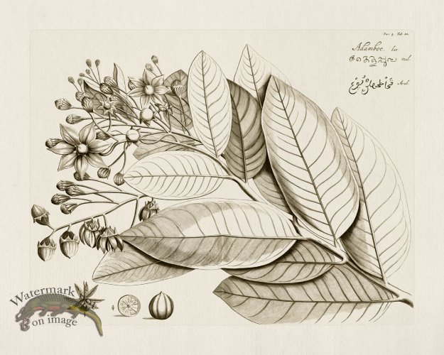 (image for) HORTUS VOL 04 22