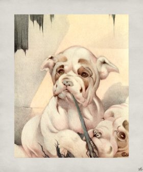 (image for) Puppy Dog 16
