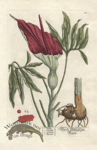 (image for) Blackwell GE 269