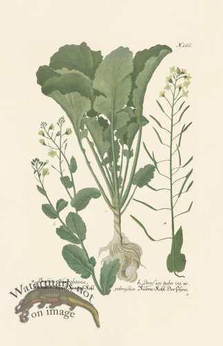 (image for) Weinmann PL 266