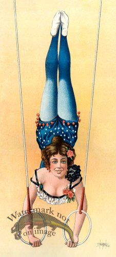 (image for) Girl On Rings