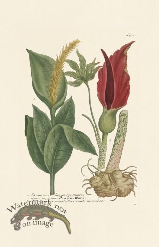 (image for) Weinmann PL 472