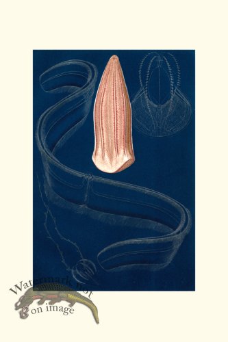 (image for) Underwater 21