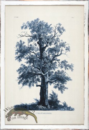 (image for) Blue Trees in Distressed White 01