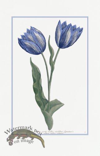 (image for) Blue Weinmann S 15