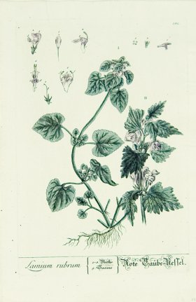 Blackwell German 234