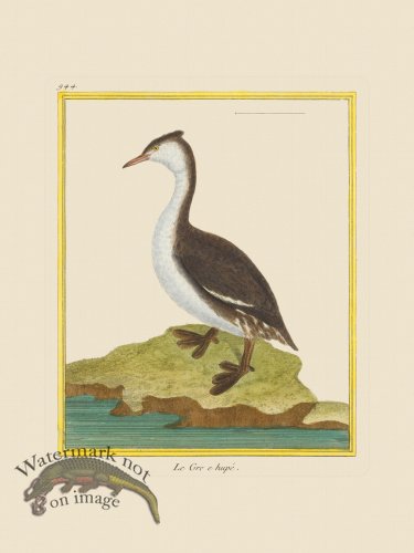(image for) Martinet Bird 944