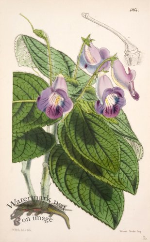 (image for) CBMS_0079