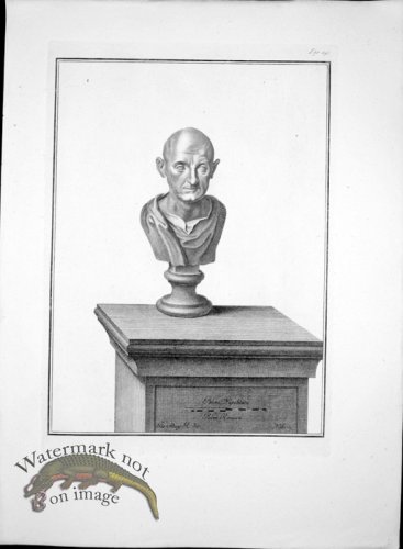 (image for) Ercolano Bust 17