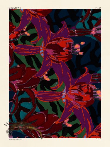 (image for) Variations PL 15