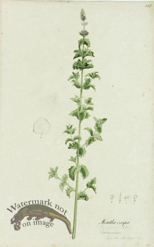 (image for) 1828_Gmp 092