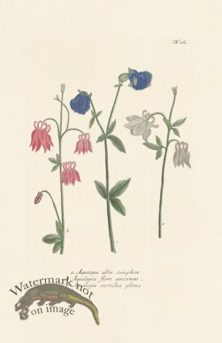 (image for) Weinmann PL 162