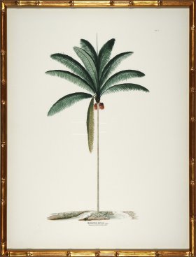 Palm trees in Gold Bamboo 04