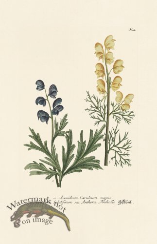 (image for) Weinmann PL 022