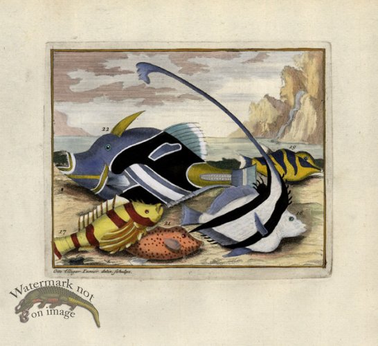 (image for) Valentijn 09