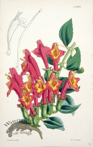 (image for) CBMS_0002