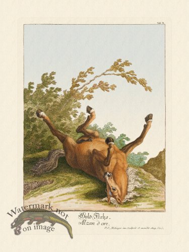 (image for) Ridingers Horses 31