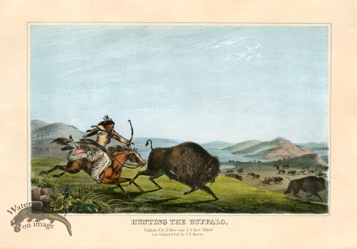 (image for) Hunting the Buffalo